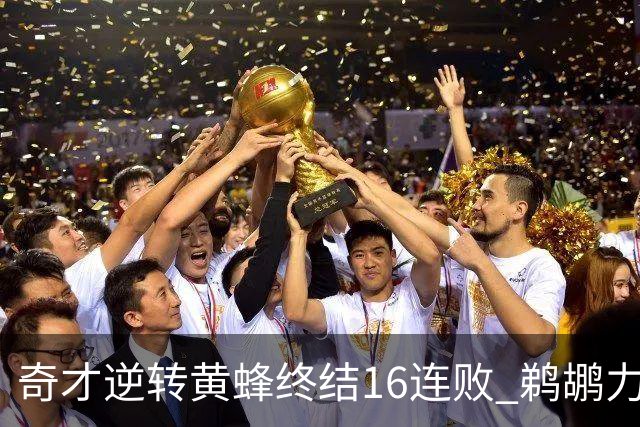 奇才逆转黄蜂终结16连败 鹈鹕力克76人3连胜
